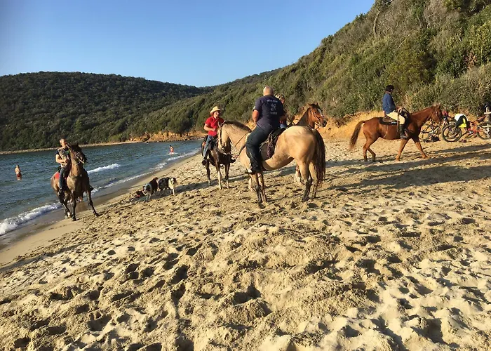 Acquamarina 게스트하우스 폴로니카