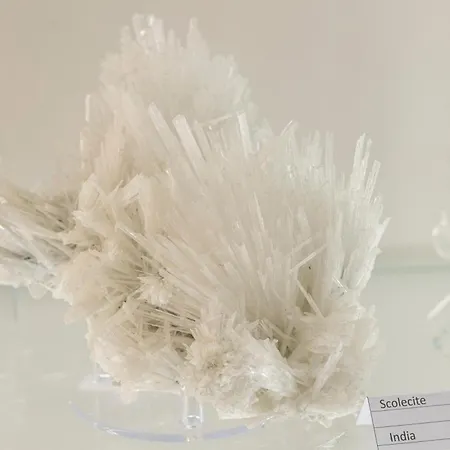 Πανσιόν Acquamarina